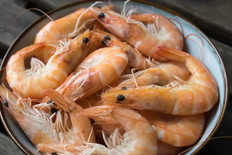 Read more about the article Saiba como fazer a saborosa receita de bobó de camarão